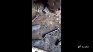Замена сальника полуосьа ЮМЗ