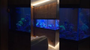 Полировка Стекла / аквариум за 1000000₽