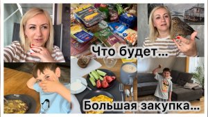 Большая закупка продуктов 🛒 считаю калории, меню на день 🥙 Что будет дальше с  птенцом 🐦⬛