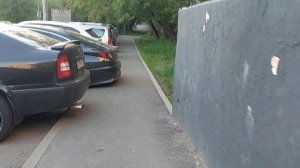 Жилищнику нужен только асфальт с плиткой --- а когда они начнут проявлять заботу о мамах с колясками