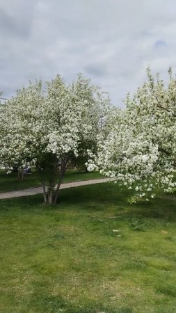 Екатеринбург сегодня