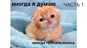 25.02.2025 Практическая работа №1 Часть 1