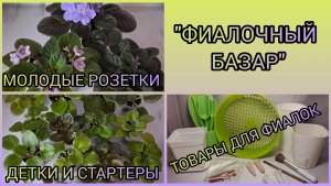 "ФИАЛОЧНЫЙ БАЗАР" - продажа фиалок.