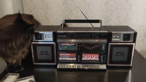 Sharp wf 940 Бонус видео к отзыву