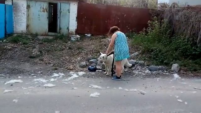 Компрессор вместо расчёски смотреть онлайн