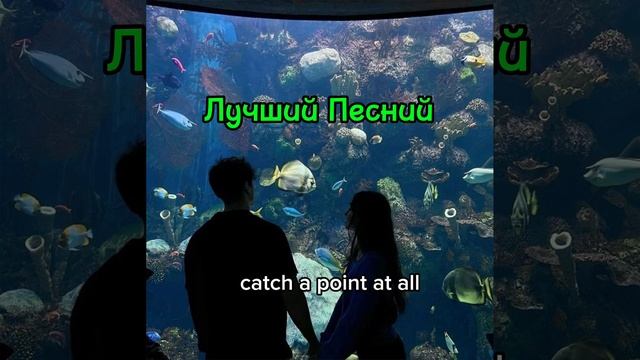 Лучший Песний для Машины, Колонки ,#песний,#треки,#музы? смотреть онлайн