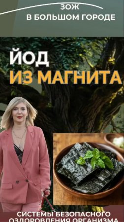 Йод из Магнита #FitLine