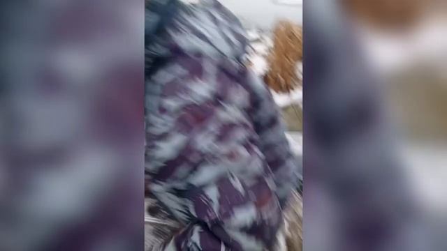 Мужики спасли лебедя с "ангельским крылом" смотреть онлайн