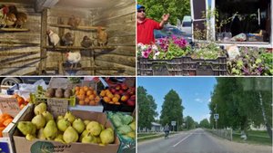 ПРОВЕДАЕМ КУРОЧЕК, ОНИ УСТРОИЛИСЬ НА НОЧЛЕГ, А УТРОМ В ГОРОД, ТАМ СЕГОДНЯ РЫНОК.