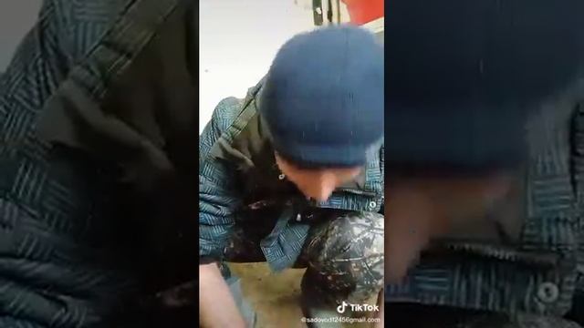 тарзи дуруст куштан ва тоза кардани мохи смотреть онлайн