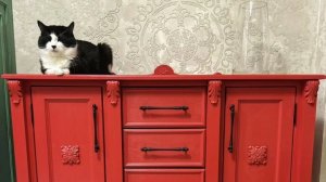 Комод,dresser,梳妆台,aparador,cômoda,meja rias,ドレッサー,buffet,Kommode,مضمد.