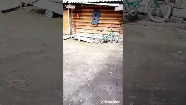 уминя есть запасной камера и покрышка для велика буде? смотреть онлайн