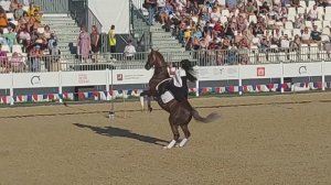 Русская девушка верхом на лошади. Красота в каждом движении. Танец с саблями