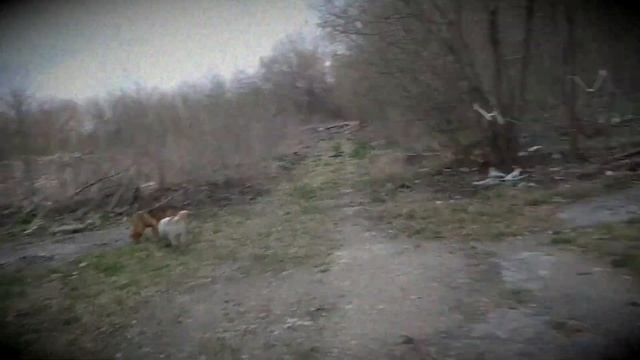 ГВОЗДЬ В ГОРЛЕ - Крылья Крипера (OFFICIAL VIDEO) смотреть онлайн