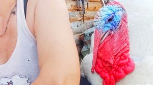 21-05 Россия жизнь в деревне,Кеша хочет меня оттоптать,хроника дня, влог, простая деревенская семья