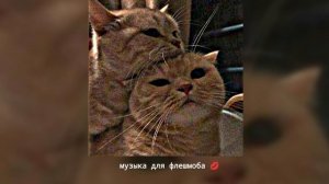 осторожно маты!!!!Музыка для флешмоба💋#тренды #флешмо?