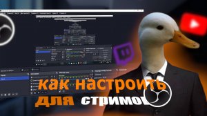 как насторить обс твич и донаты для стримов