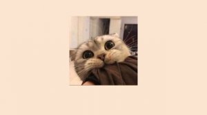 Песни •~для танцев ~• ~•для того чтоб просто слушать•