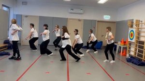 Флешмоб воспитателей в ДОУ «Хорошие девчата»