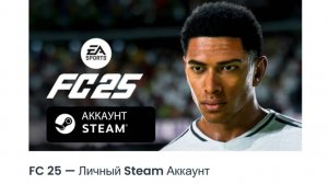 FC 25 или fifa 25 на pc