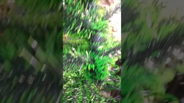 Будьте внимательны и проверяйте покупки в магазинеп