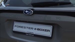 Что нового в Subaru Forester 2025? Детальный обзор и цены
