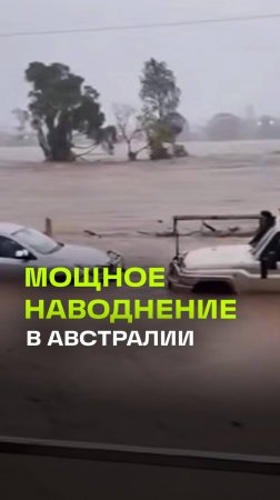 Наводнение в Австралии достигло рекордных масштабов: более 48 тысяч человек без электричества