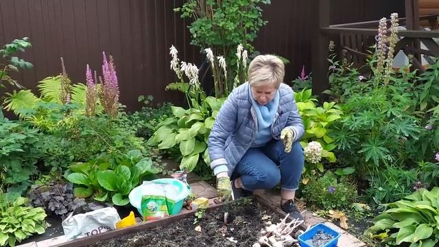 ОЗИМЫЙ ЧЕСНОК 🌱 Сажаем правильно! Полная инструкция по посадке Садовый гид