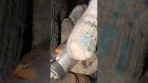 Ремонт мотора омывателя