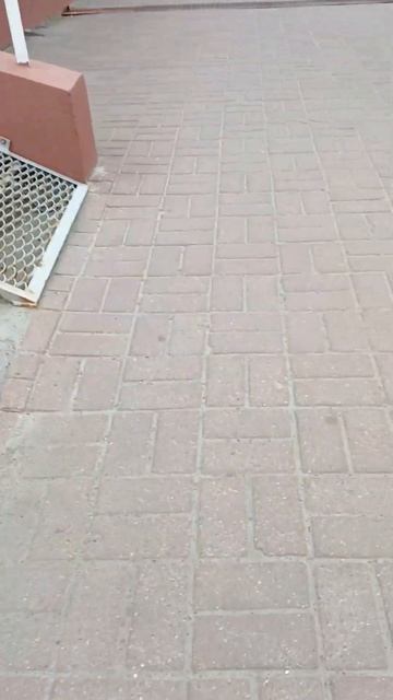 Эт я хакнул #rip смотреть онлайн