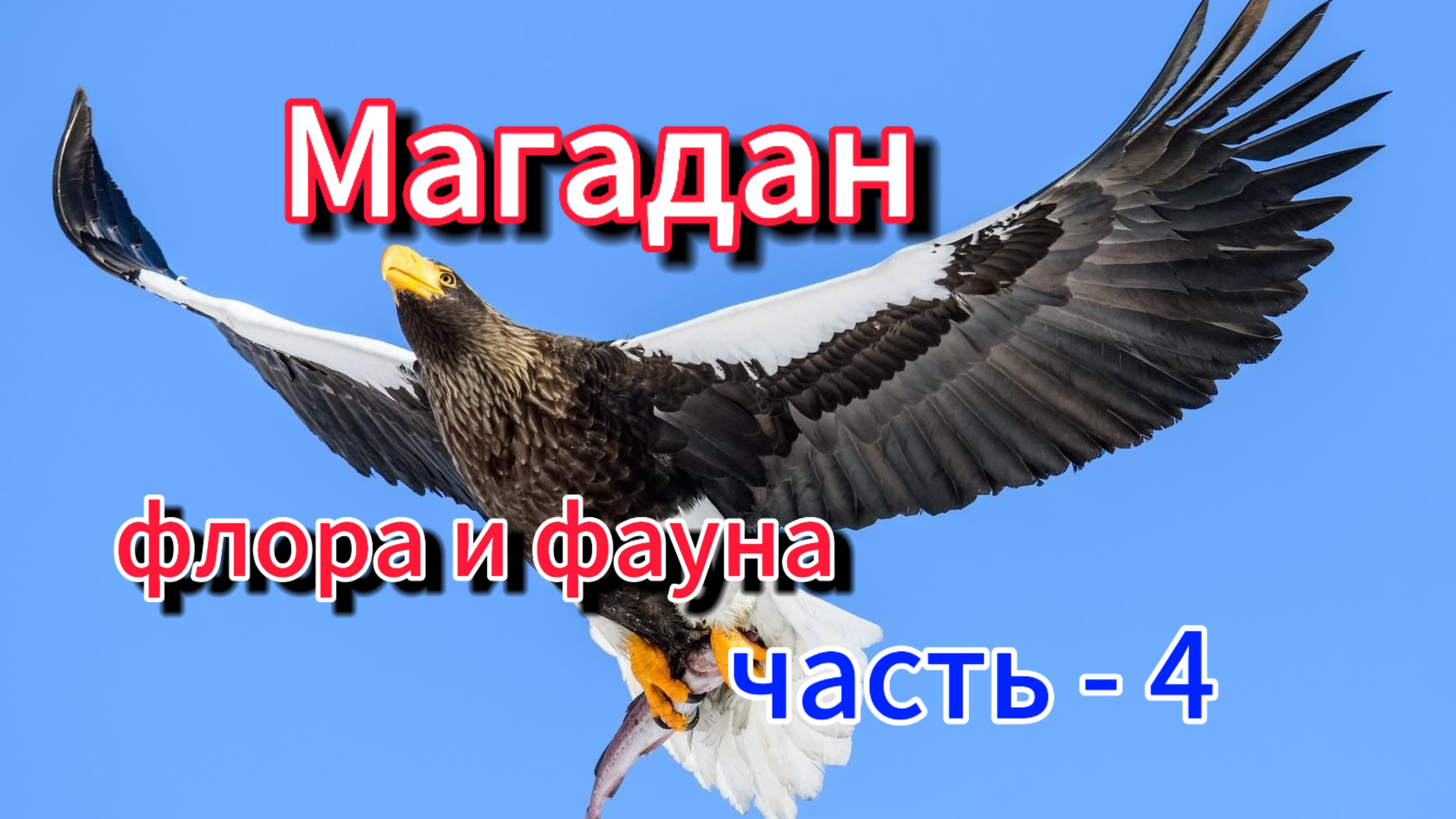 Магадан (флора и фауна, заповедные места) часть - 4