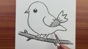 Лёгкий рисунок птицы: как поэтапно нарисовать милую птичку — простой обучающий рисунок карандашом