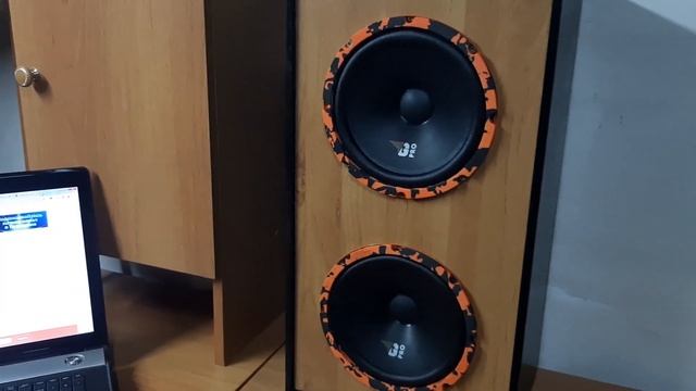 Отличные 20см динамики с хорошим мидбасом DL Audio Gryphon Pro 20 смотреть онлайн