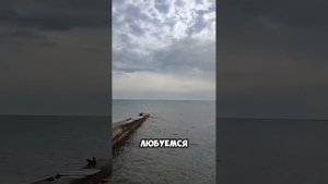 Сочи, пляж Бытха 1 мая 2025 обзор. #на_ви #сочи #пляж #обзор