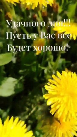 Отличного дня!