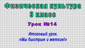 Физическая культура 3 класс (Урок№14 - Итоговый урок. «Мы быстрые и меткие!»)
