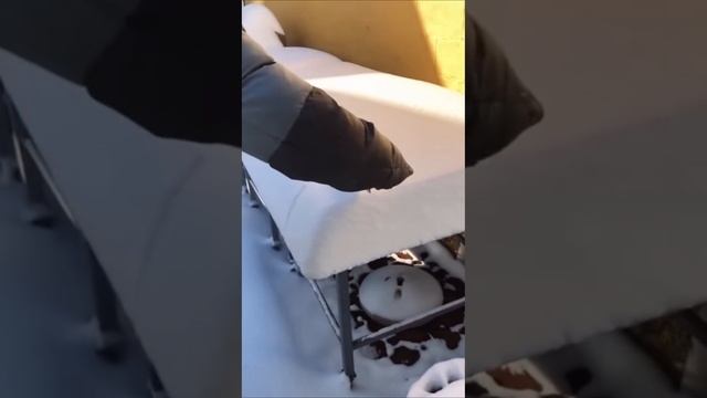 Залипалка