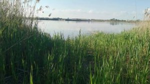 Работа по хозяйству: покос травы, пересадка птицы, кормление животных.
