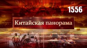 Диалог о мире, искусство дипломатии, дорогу бизнесу, истории замечательных садов – (1556)