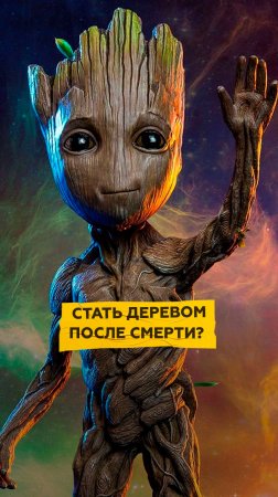 Биоурны для праха, или как навсегда стать деревом