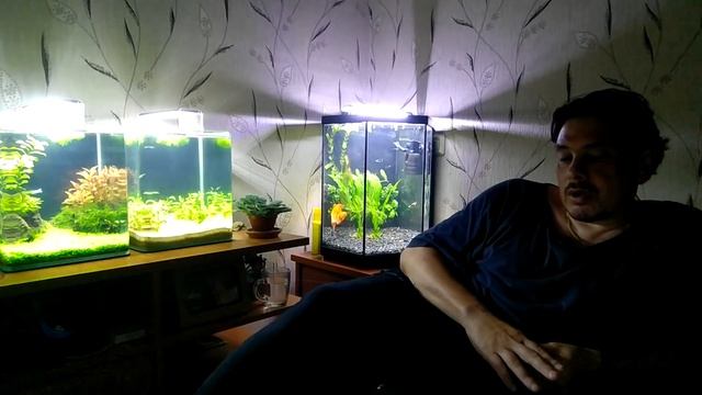 #Человейник_акванутых Ни о чём и обо всём. 23 июня 2019 г. смотреть онлайн