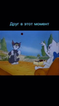 У тебя точно есть такой друг!