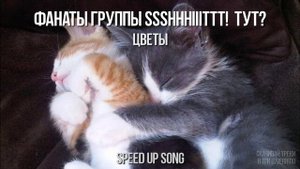 ПЛЕЙЛИСТ ПЕСЕН SSSHHHIIITTT! ➤ SPEED UP SONG