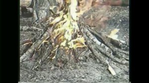 Клинок рассекающий демонов (Kimetsu no Yaiba) вайны/ кряки/ приколы