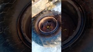 порядок сборки ( забортовки) колеса газ 66 на диск под к?
