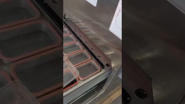 Промышленный вакуум-газ, 12 лотков 142-92 мм смотреть онлайн