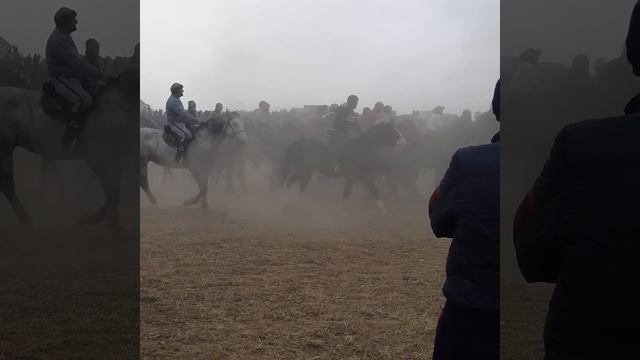 бузкаши зафаробод давладполвон далийони пойин асп б н смотреть онлайн