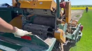Рулонный газон - мы производим, срезаем, доставляем, укладываем. Эко Газон #рулонныйгазон #ekogazon