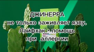 Джинерра для заживления слизистых ЖКТ
Лайфхак использования при аллергии