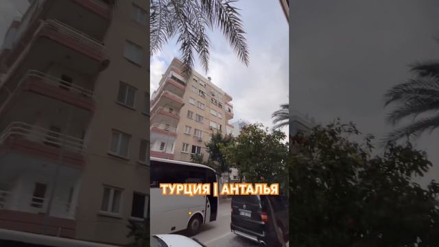 Мандарины и лимоны растут на улице в Анталье | Турция 🇹🇷